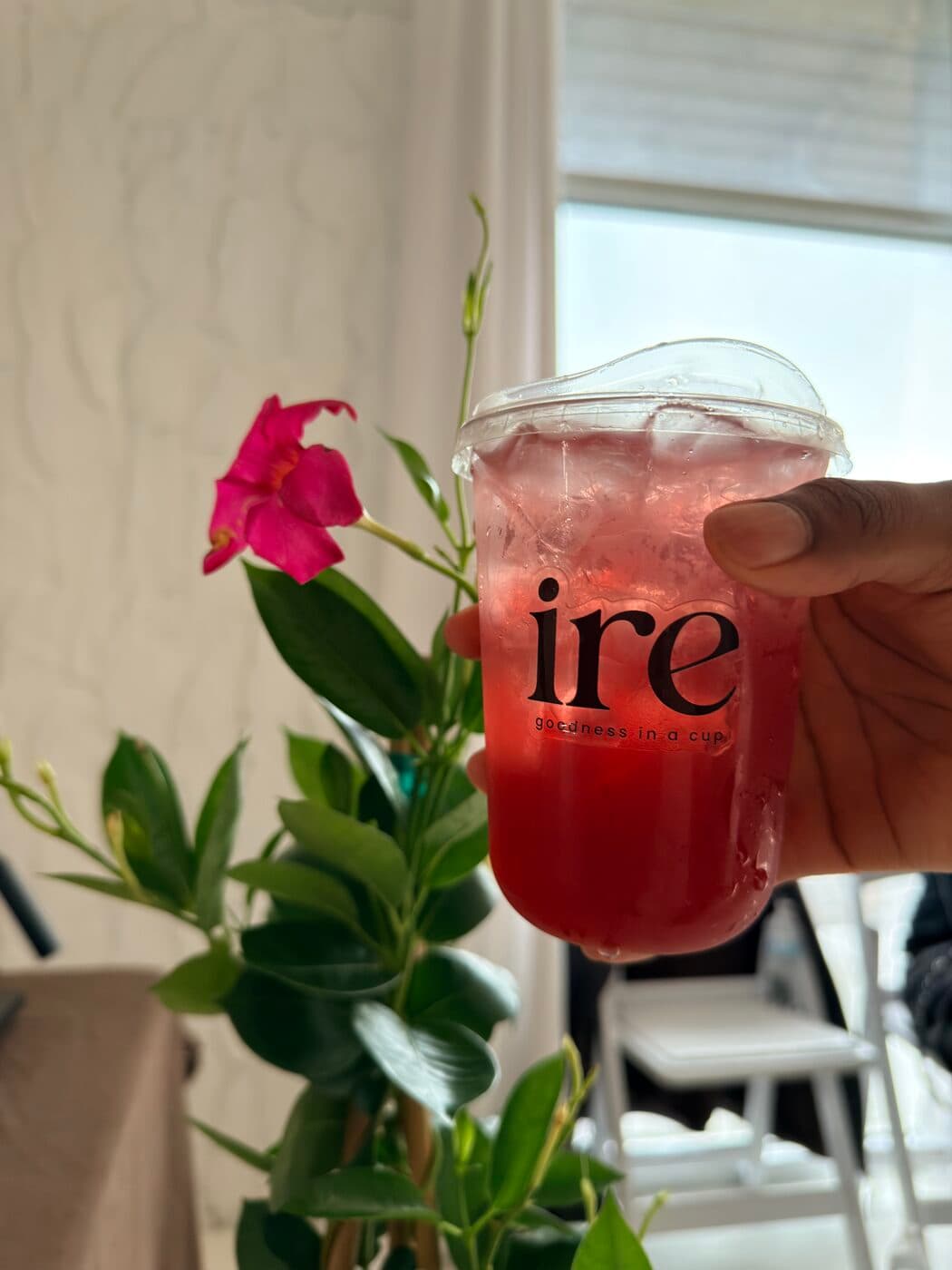 A Zobo Spritz in an ire cup, held up beside a flowering plant